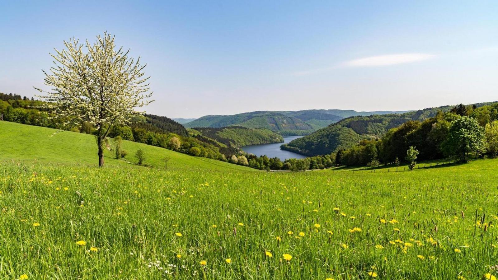Garni Hotel Im Fachwerkhof Simmerath Esterno foto